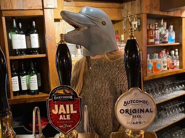 酒店 The Dolphin Inn