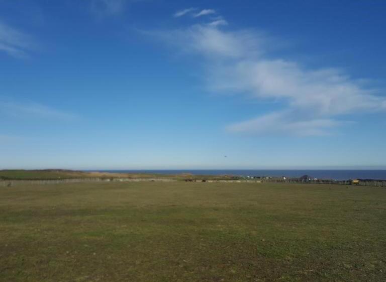 호텔 The Dormy House