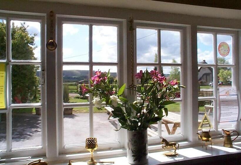 فندق The Fox & Hounds