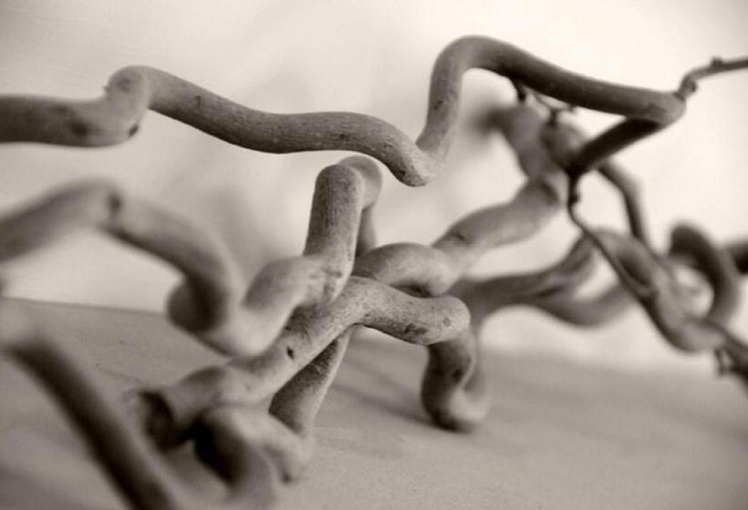 בית מלון כפרי The Frenchgate Restaurant &