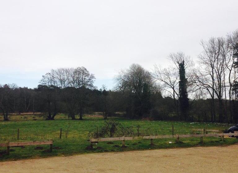 فندق The Swan Inn