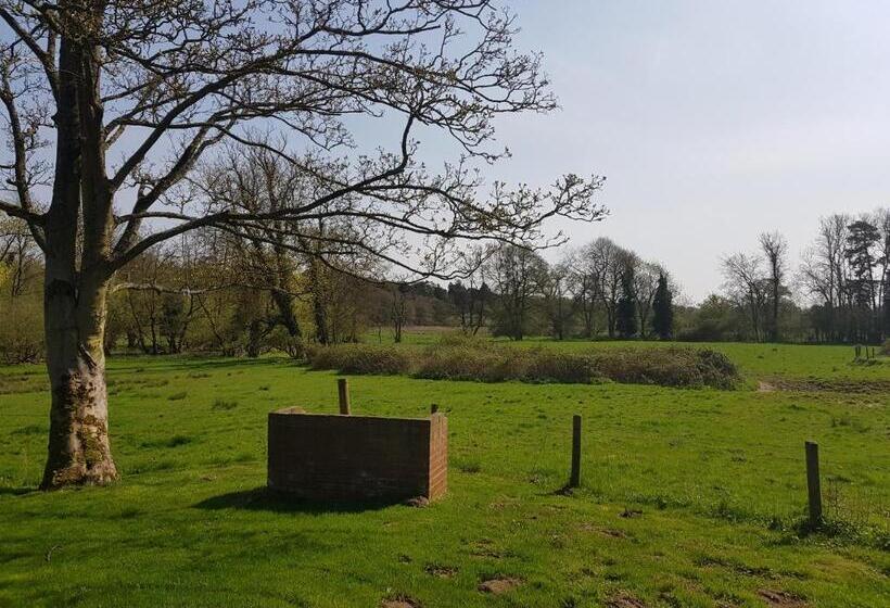 فندق The Swan Inn