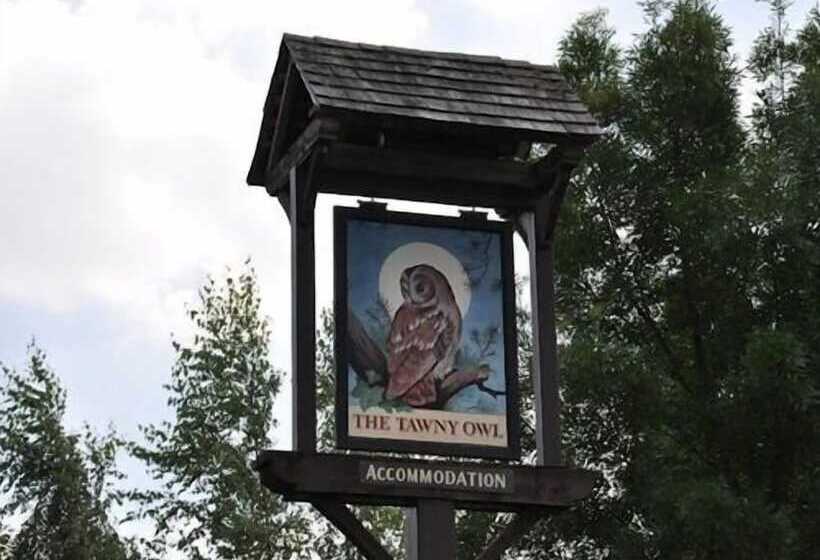 호텔 The Tawny Owl