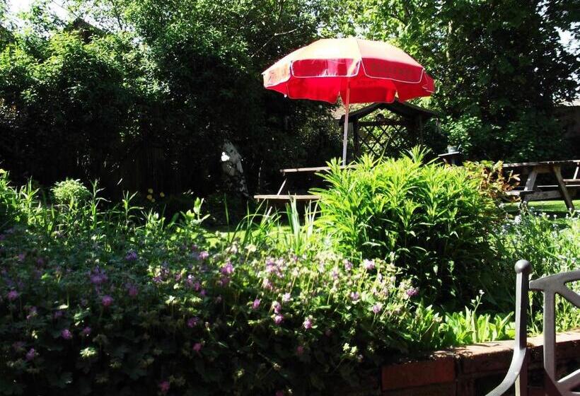 בית מלון כפרי The Three Horseshoes East Worldham