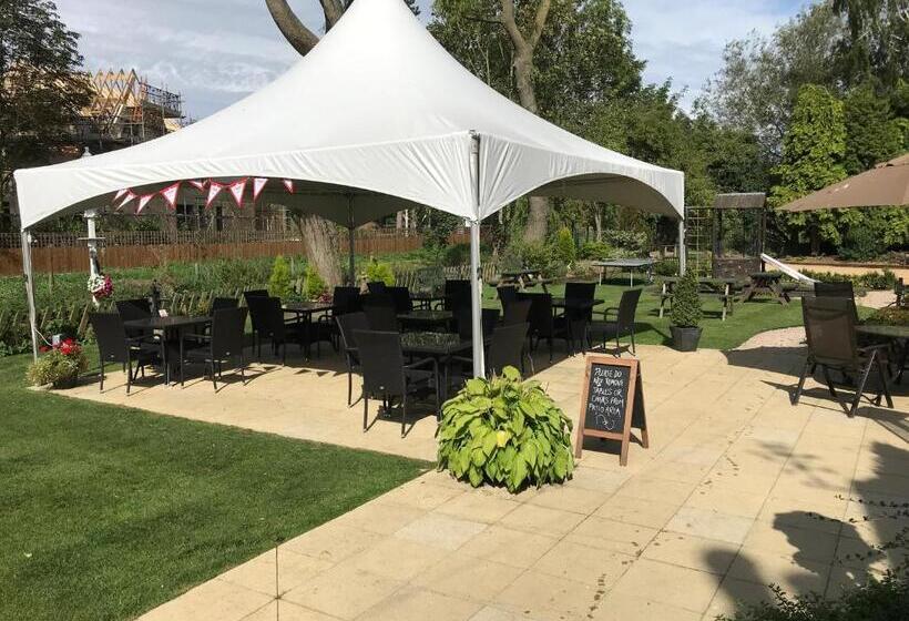 酒店 The White Lion Inn