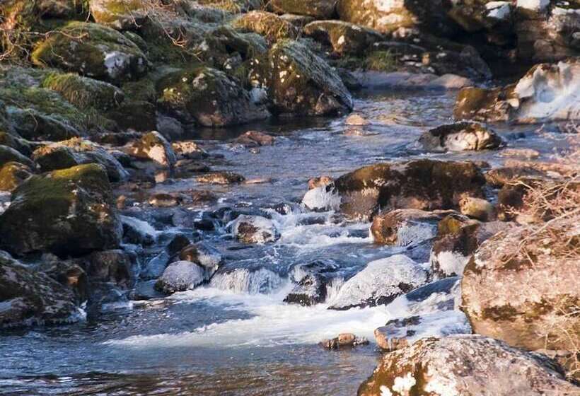 Oakfield House Bed And Breakfast