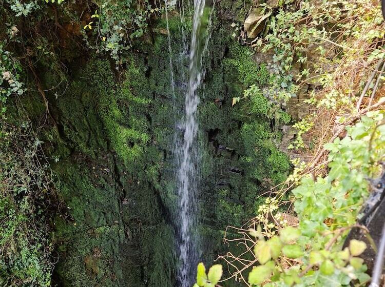 Parterre Holiday Apartments