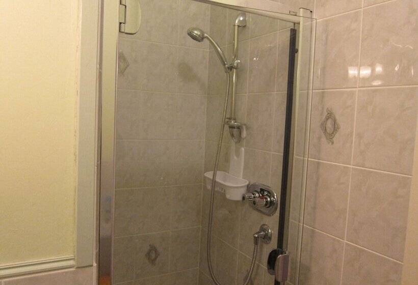 بنسيون Black Swan Guest House