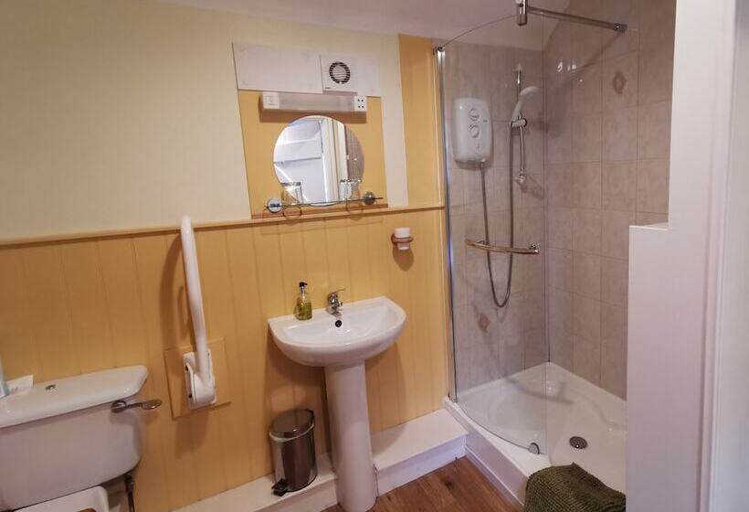 بنسيون Black Swan Guest House