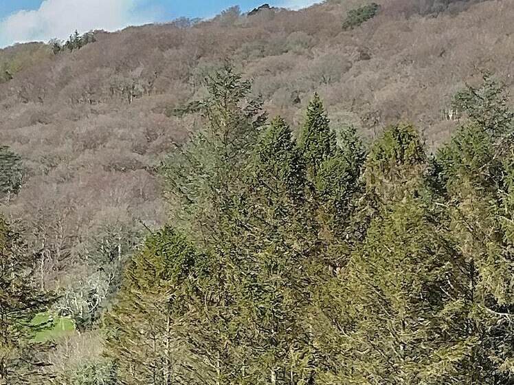 פנסיון Glenn Eireann House