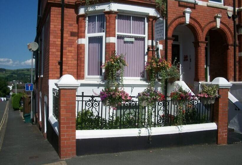 بنسيون Greylands Guest House