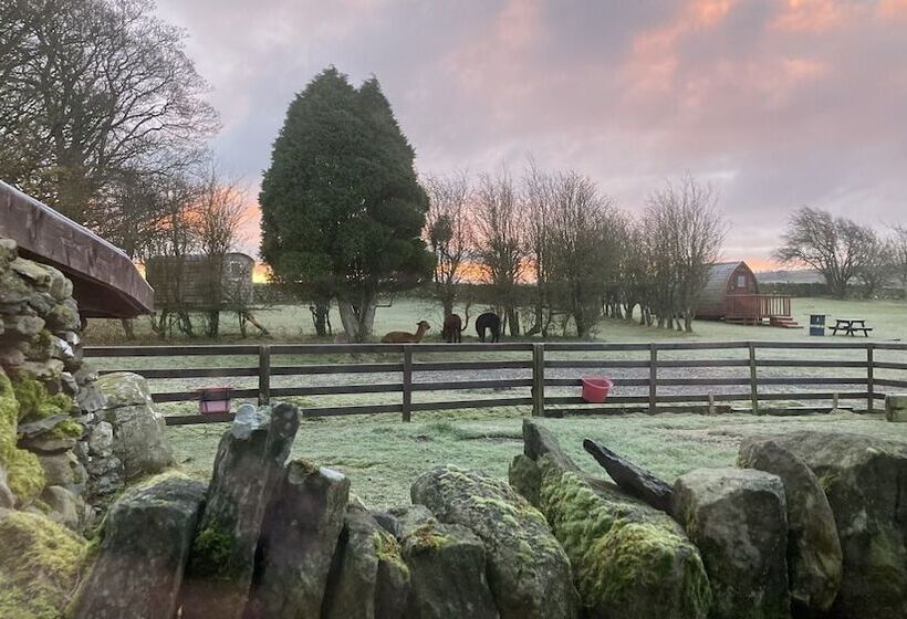 Пансион Llwyn Onn Guest House, North Wales