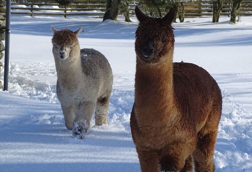 Пансион Llwyn Onn Guest House, North Wales
