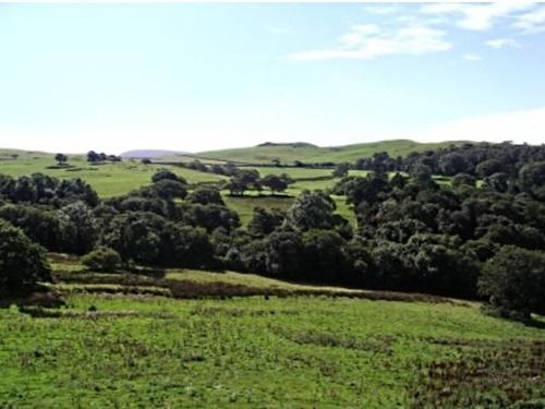 Пансион Rhiwiau Isaf