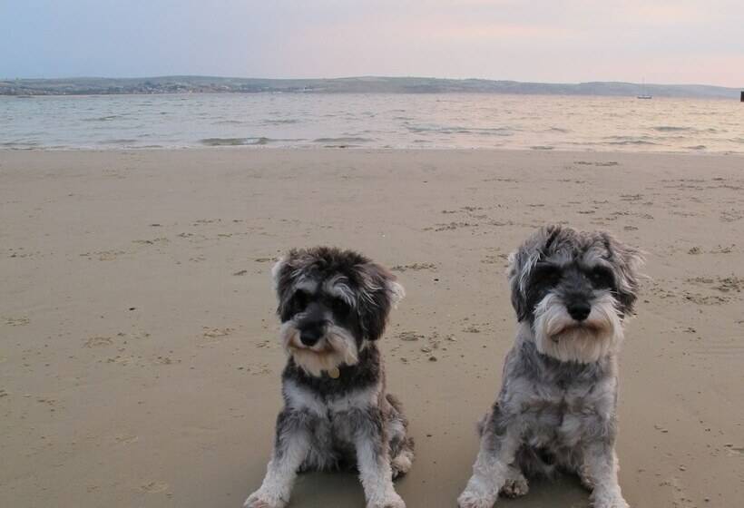 膳宿费 Stone S Throw Guesthouse