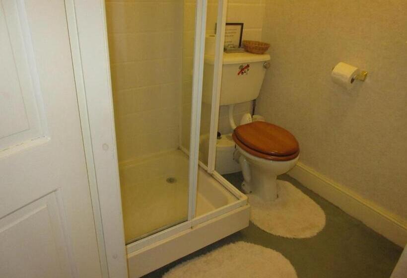 بنسيون Ty Newydd Guest House