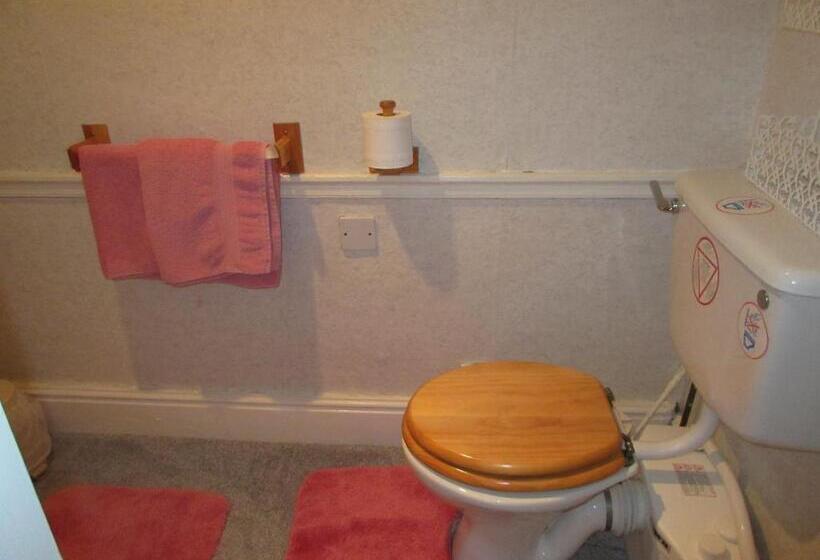 بنسيون Ty Newydd Guest House