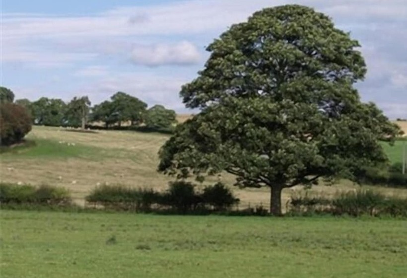 Quixhill Denstone Dove Meadow B & B