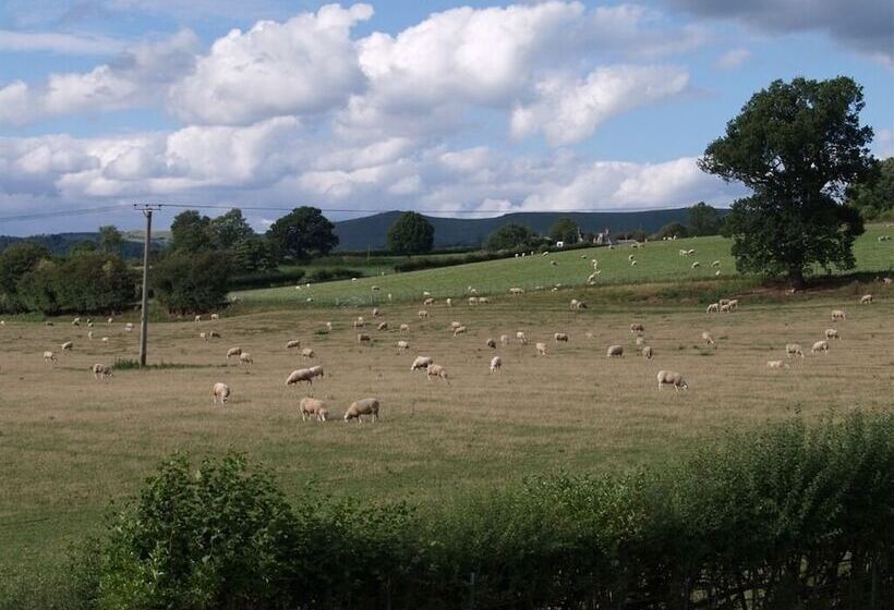 Quixhill Denstone Dove Meadow B & B