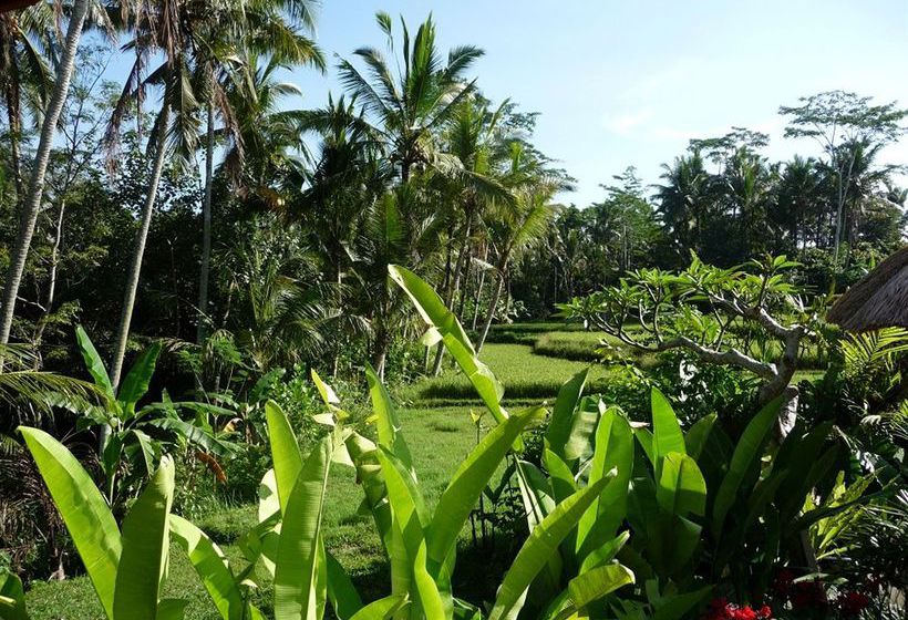 استراحتگاه Umajati Retreat