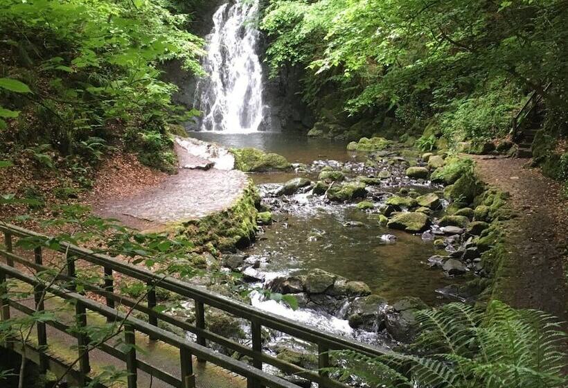 Seaview House Bed And Breakfast