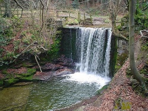 Song Of The River B & B