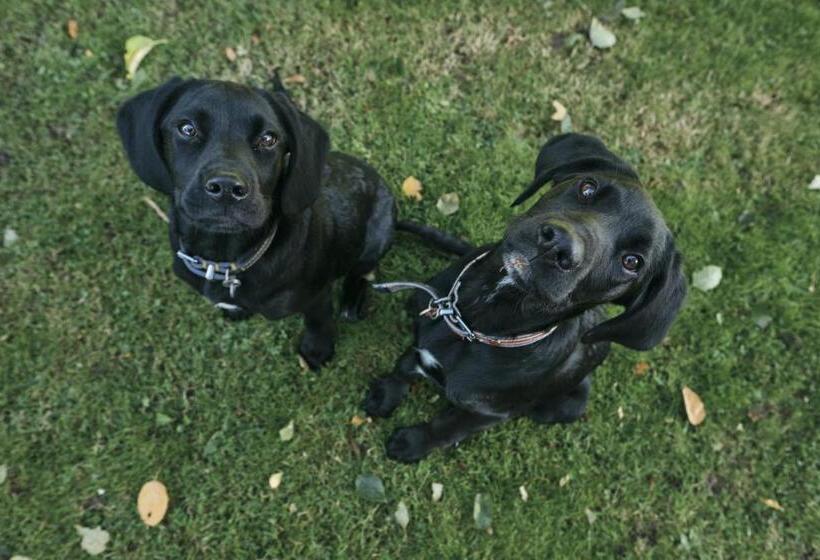 The Agents House, Bed & Breakfast