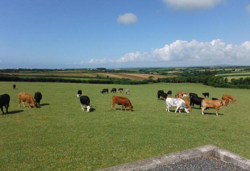 Tregaddra Farm B&b