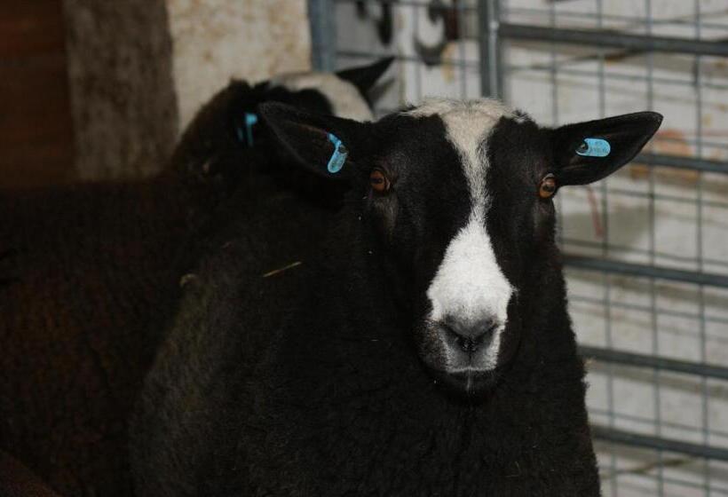 مبيت وإفطار Cary Fitzpaine House