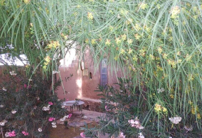 تختخواب و صبحانه Dar Paru