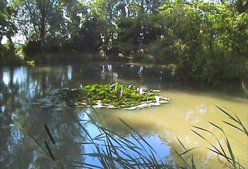 צימר Blatches Farm