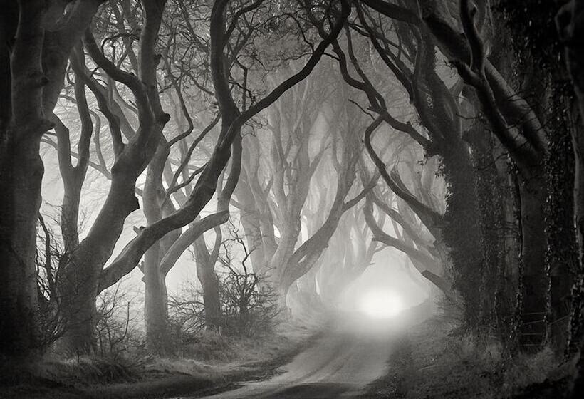 مبيت وإفطار Carnately Lodge