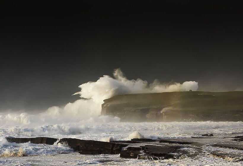 مبيت وإفطار Carnately Lodge