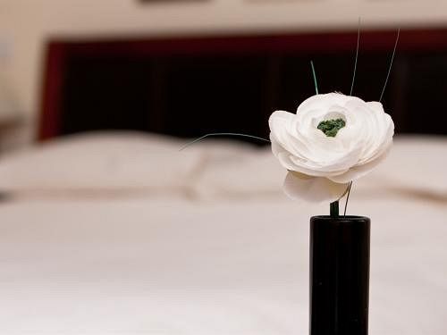 Bed and Breakfast Dukes Head