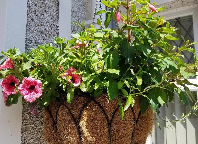 Eden S Rest Bed And Breakfast