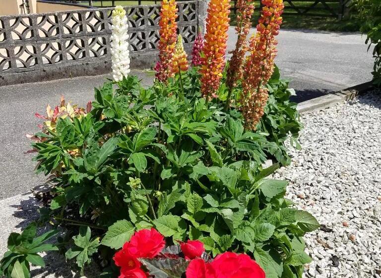 Eden S Rest Bed And Breakfast