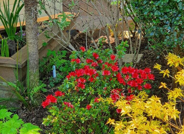 Eden S Rest Bed And Breakfast