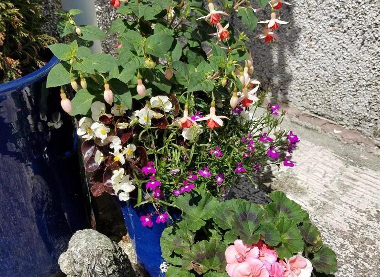 Eden S Rest Bed And Breakfast