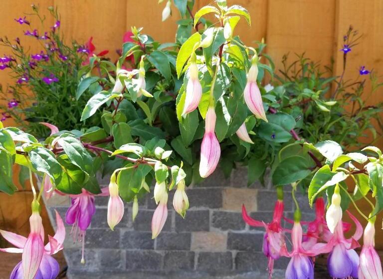 Eden S Rest Bed And Breakfast