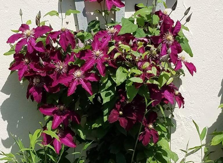 Eden S Rest Bed And Breakfast