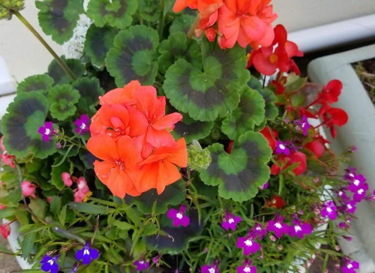 Eden S Rest Bed And Breakfast