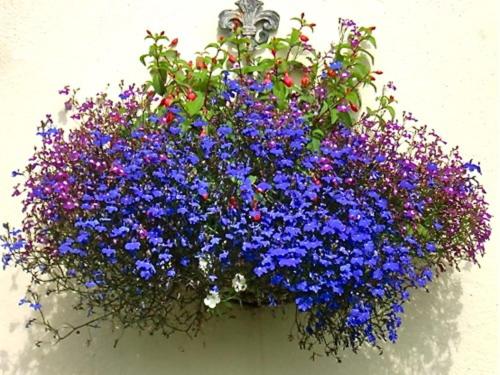 Eden S Rest Bed And Breakfast