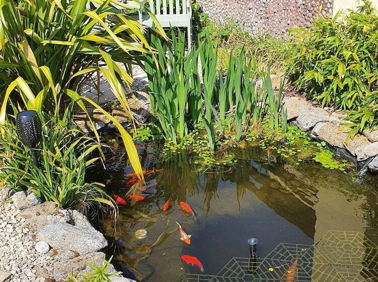 Eden S Rest Bed And Breakfast