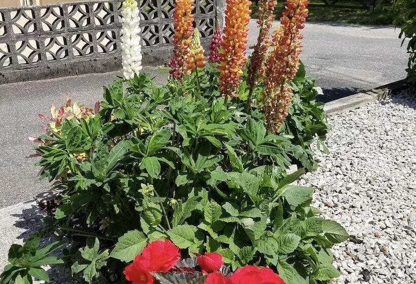 Eden S Rest Bed And Breakfast