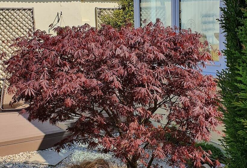 Eden S Rest Bed And Breakfast