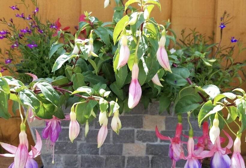 Eden S Rest Bed And Breakfast