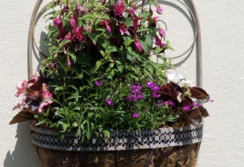 Eden S Rest Bed And Breakfast