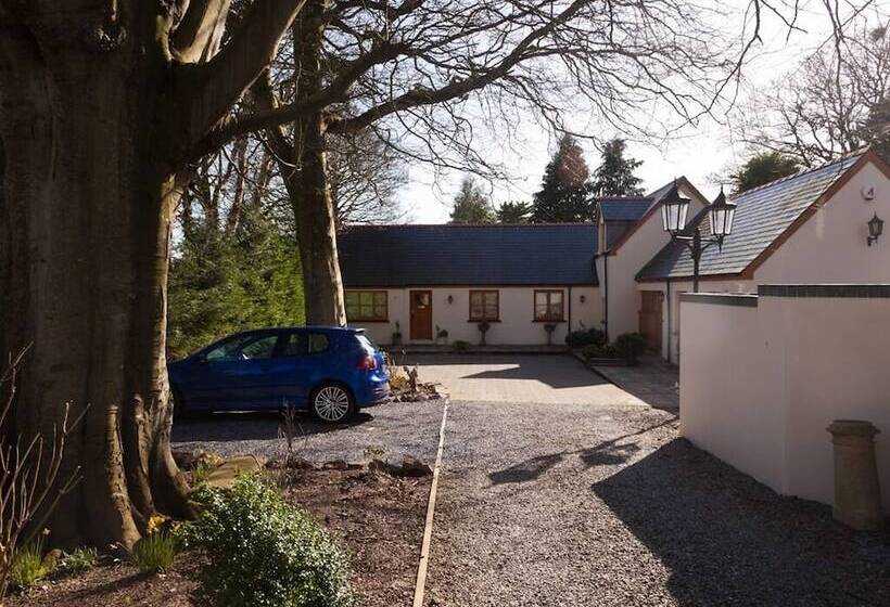 住宿加早餐  Little Red Rooster Rest And Spa