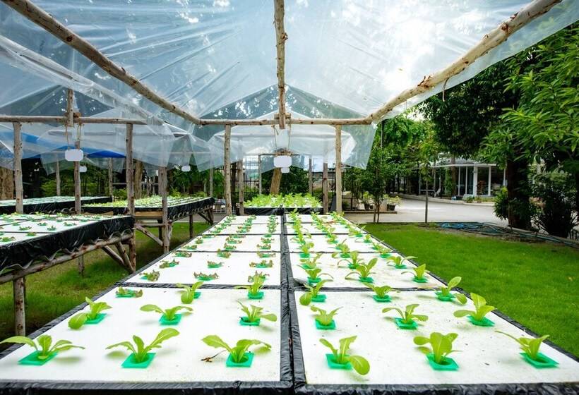 צימר Mac Garden Resort