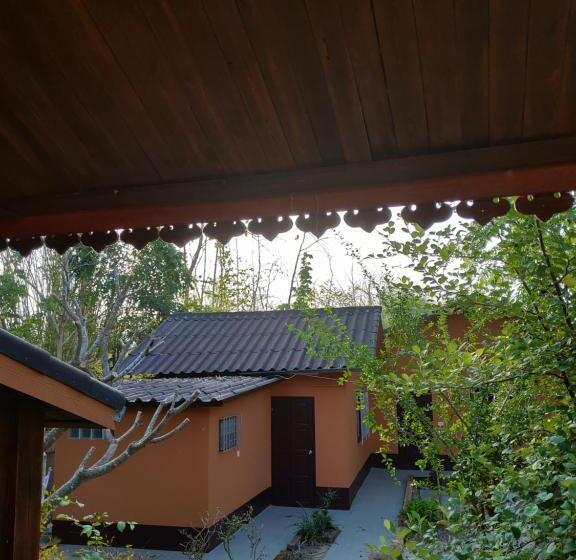 Home Stay Stc Bed And Breakfast